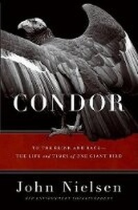 Enlarge image Cover: Condor - HarperCollins