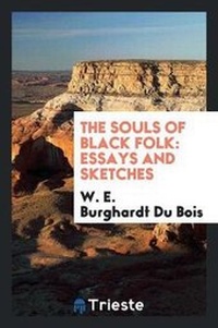 Abbildung von: The Souls of Black Folk - Trieste Publishing