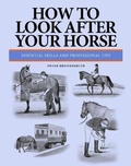 Cover: How To Look After Your Horse - Amber Books