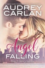 Cover: Angel Falling - Waterhouse Press