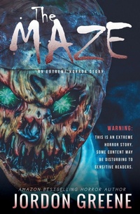 Enlarge image Cover: The Maze - Franklin/Kerr Press