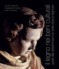 Bild: Il legno nei beni culturali. Guida alla determinazione delle specie legnose - Aguaplano