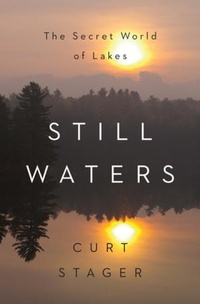 Enlarge image Cover: Still Waters - WW Norton & Co