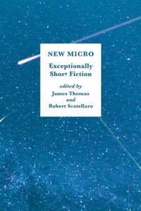 Enlarge image Cover: New Micro - WW Norton & Co