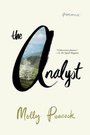 Cover: The Analyst - WW Norton & Co