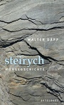 Cover: steirych - Zytglogge