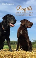 Cover: Dogilli - Sommer, Ilka