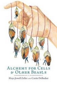 Enlarge image Cover: Alchemy for Cells & Other Beasts - ENTRE RIOS BOOKS