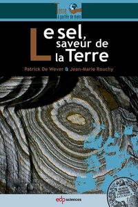 Abbildung von: Le sel, saveur de la Terre - EDP Sciences