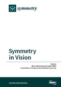 Cover: Symmetry in Vision - MDPI