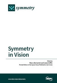 Enlarge image Cover: Symmetry in Vision - MDPI