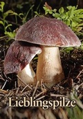 Cover: Lieblingspilze - Heyn