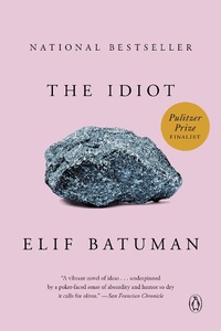 Abbildung von: The Idiot - Penguin USA