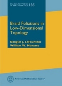 Abbildung von: Braid Foliations in Low-Dimensional Topology - American Mathematical Society
