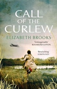 Enlarge image Cover: Call of the Curlew - Transworld Digital