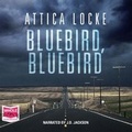 Cover: Bluebird, Bluebird - W F Howes Ltd