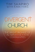 Cover: Divergent Church - Abingdon Press