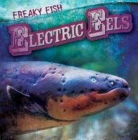 Enlarge image Cover: Electric Eels - Gareth Stevens Publishing