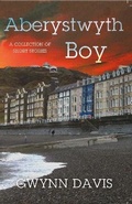 Cover: Aberystwyth Boy - Matador