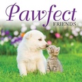 Cover: Pawfect Friends - Amber Books