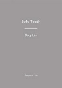 Enlarge image Cover: Soft Teeth - Sampson Low Ltd