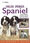Cover: English Springer Spaniel - Collins