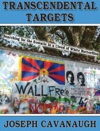 Enlarge image Cover: Transcendental Targets - Taylor and Seale Publishers