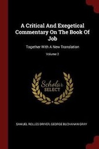 Enlarge image Cover: A Critical and Exegetical Commentary on the Book of Job - Andesite Press