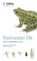 Cover: Freshwater Life - Collins
