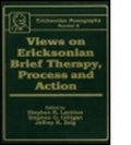 Cover: Views On Ericksonian Brief Therapy - Brunner-Mazel Inc
