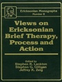 Cover: Views On Ericksonian Brief Therapy - Routledge