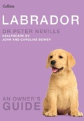 Cover: Labrador - Collins