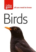 Cover: Birds - Collins