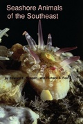 Cover: Seashore Animals of the South-east - University of South Carolina Press