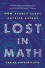 Cover: Lost in Math - Basic Books
