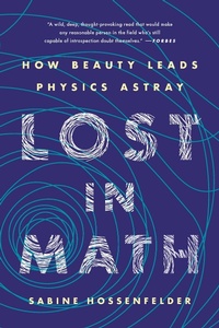 Enlarge image Cover: Lost in Math - Basic Books