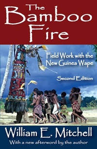 Enlarge image Cover: The Bamboo Fire - Routledge