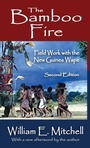 Cover: The Bamboo Fire - Routledge