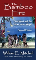 Cover: The Bamboo Fire - Routledge