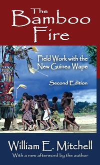 Enlarge image Cover: The Bamboo Fire - Routledge