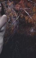 Cover: Israeli Nude Models Catalog 4 - Blurb
