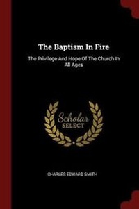 Enlarge image Cover: The Baptism in Fire - Andesite Press
