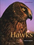Cover: Hawks - Cavendish Square Publishing