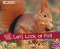 Cover: Let's Look at Fall - Capstone Press