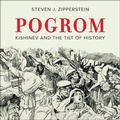 Cover: Pogrom - HighBridge Audio