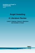 Cover: Angel Investing - now publishers Inc