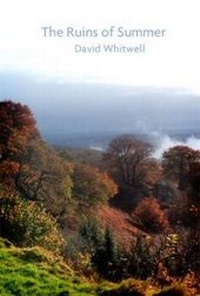 Enlarge image Cover: The Ruins of Summer - Redcliffe Press Ltd
