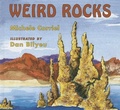 Cover: Weird Rocks - Geological Society of America