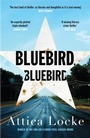 Cover: Bluebird, Bluebird - Serpent's Tail