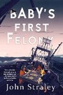Cover: Baby's First Felony - Soho Press Inc